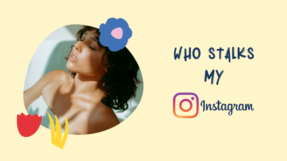 How to Check Who Stalks My Instagram Profile or Story