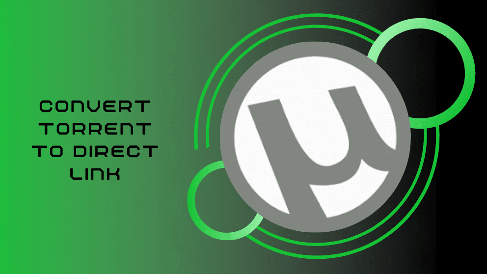 convert magnet link to torrent